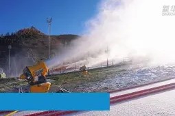 满冠娱乐 -雪梅全解