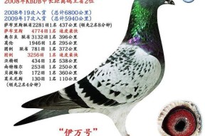 关于法甲赛程吃紧，萨克拉门托国王清晨完成体检，信心回归，医务组通报恢复的信息